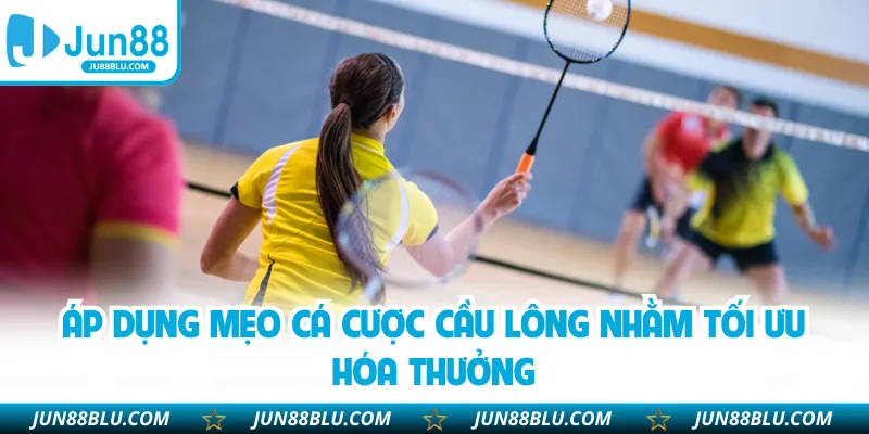 Áp dụng mẹo cá cược cầu lông nhằm tối ưu hóa thưởng