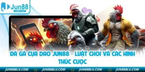 Đá Gà Cựa Dao JUN88 - Luật Chơi Và Các Hình Thức Cược