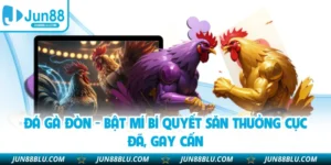 Đá Gà Đòn - Bật Mí Bí Quyết Săn Thưởng Cực Đã, Gay Cấn