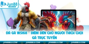 Đá Gà WS168 - Điểm Đến Cho Người Thích Chọi Gà Trực Tuyến