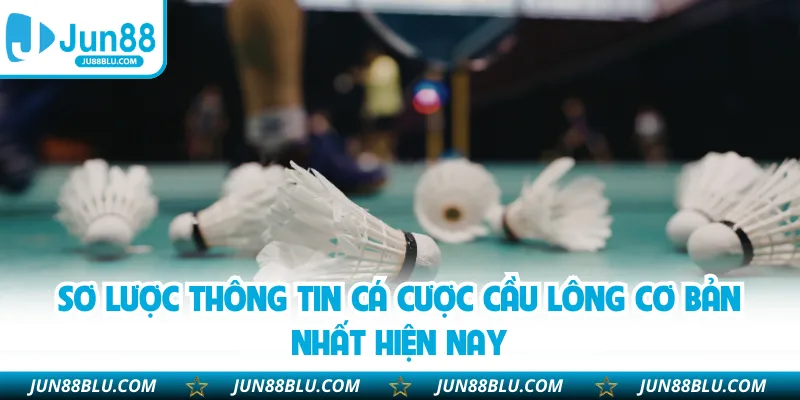 Sơ lược thông tin cá cược cầu lông cơ bản nhất hiện nay