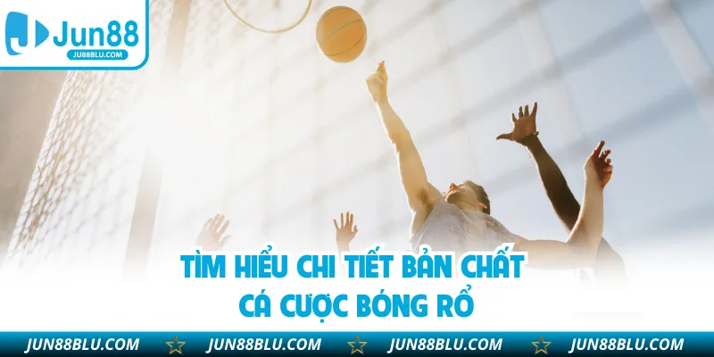 Tìm hiểu chi tiết bản chất cá cược bóng rổ