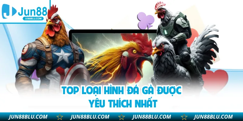 Top loại hình đá gà được yêu thích nhất