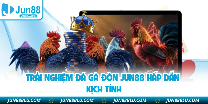 Trải nghiệm đá gà đòn JUN88 hấp dẫn kịch tính
